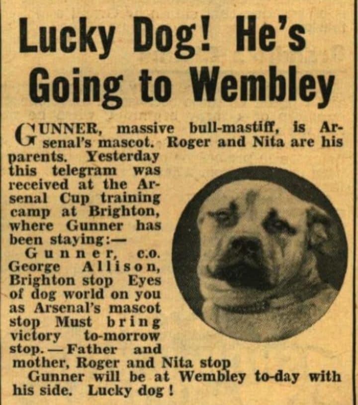 Newspaper report from 1936 featuring Gunner
