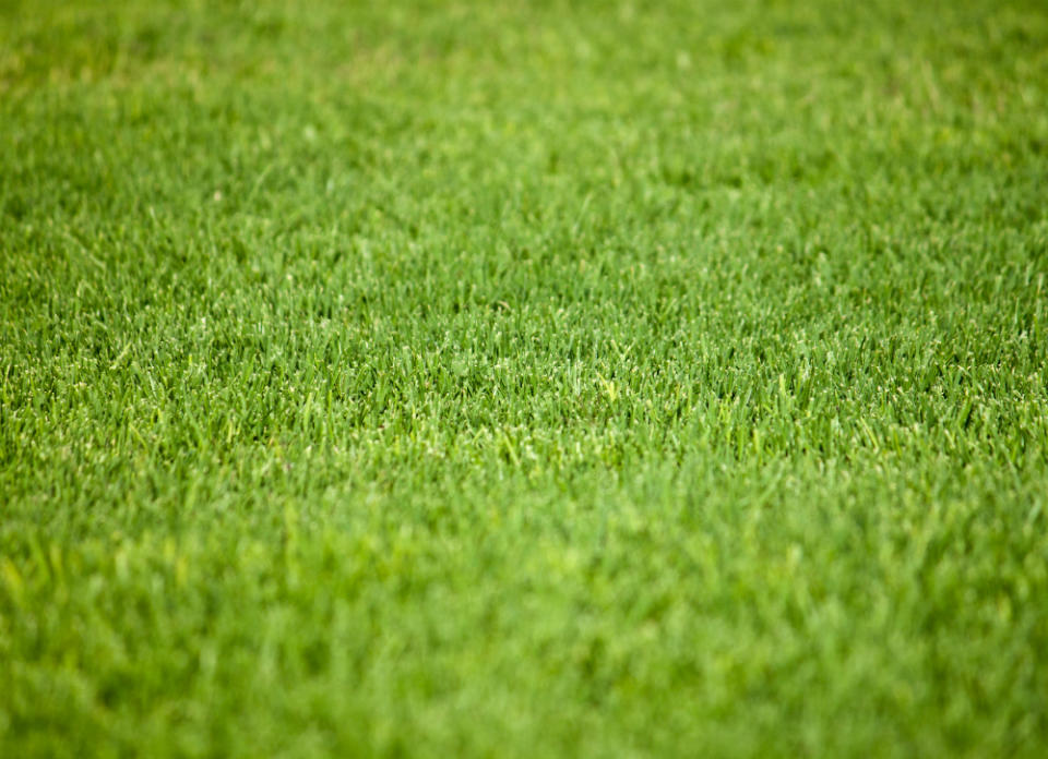 7 Real Reasons to Consider Fake Grass