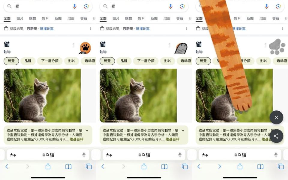 只要在搜尋欄KEY入「貓/ cat/ ねこ」，中英日都可通用 圖片來源：LOOKin編輯翻攝 (手機版本)