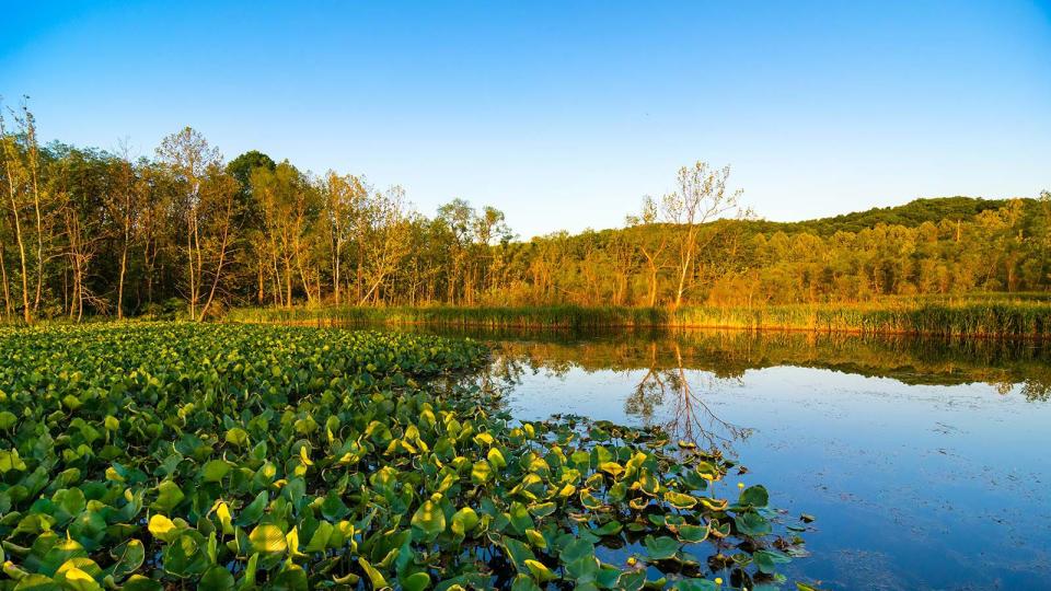 Beaver Marsh in Cuyahoga Valley National Park, between Cleveland and Akron