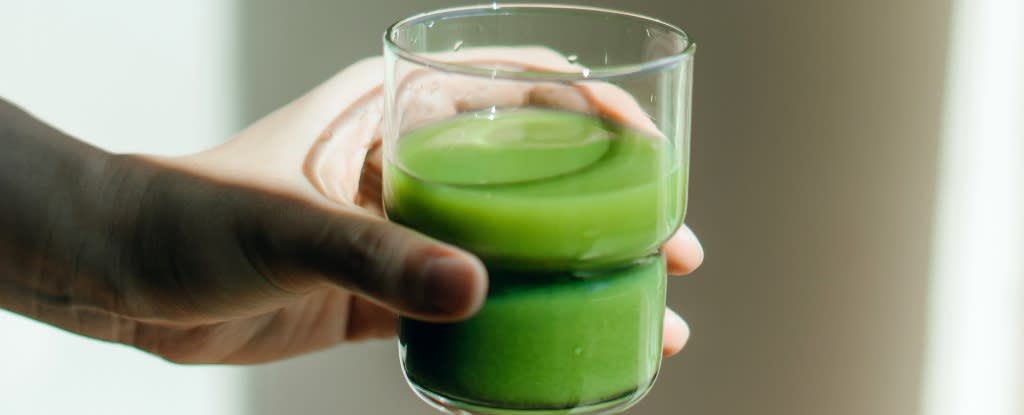 Hand holding a green drink in a glass