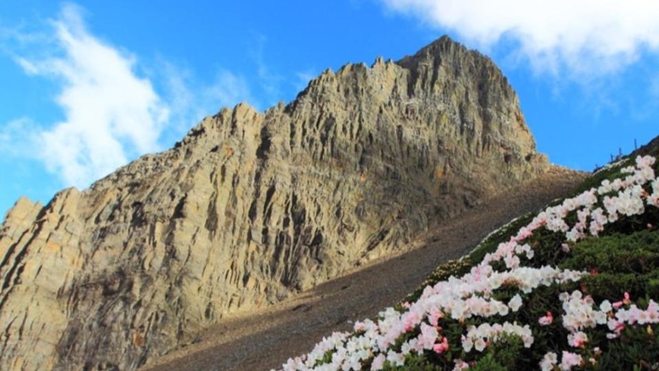 玉山打破紀錄，平均溫度成為歷年來第3暖。（示意圖／翻攝自玉山國家公園官網）