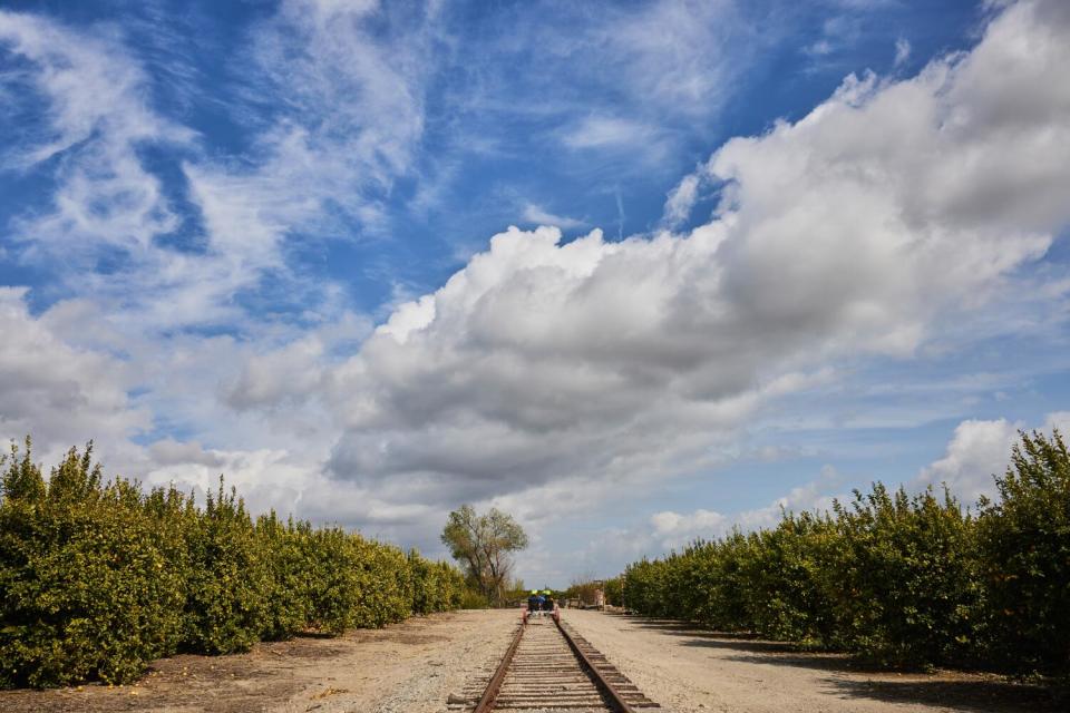 Robert Jason Pinoli, the president and CEO of Mendocino Railway, hopes to expand railbike tours beyond four days a week.