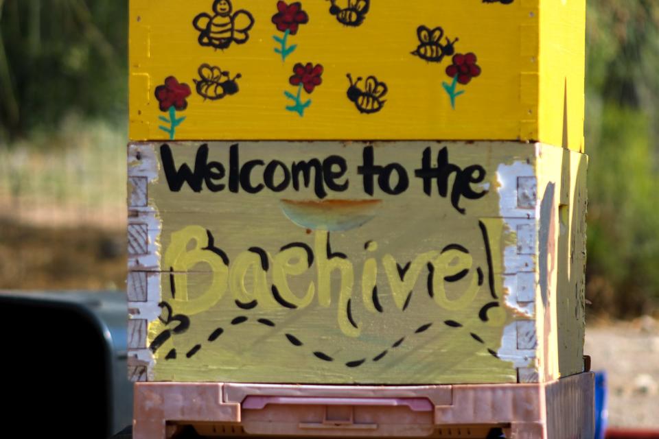 Baehive beekeeping started in October of 2020.