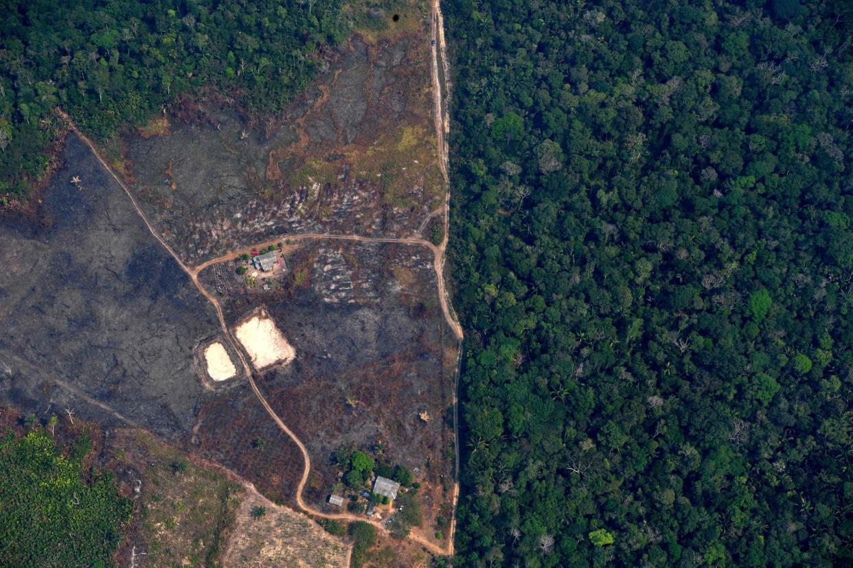 An aerial view of a deforested piece of land in the Amazon rainforest: AFP via Getty Images