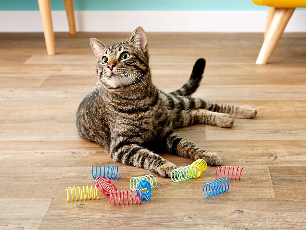 Ethical Pets Products cat spring toy