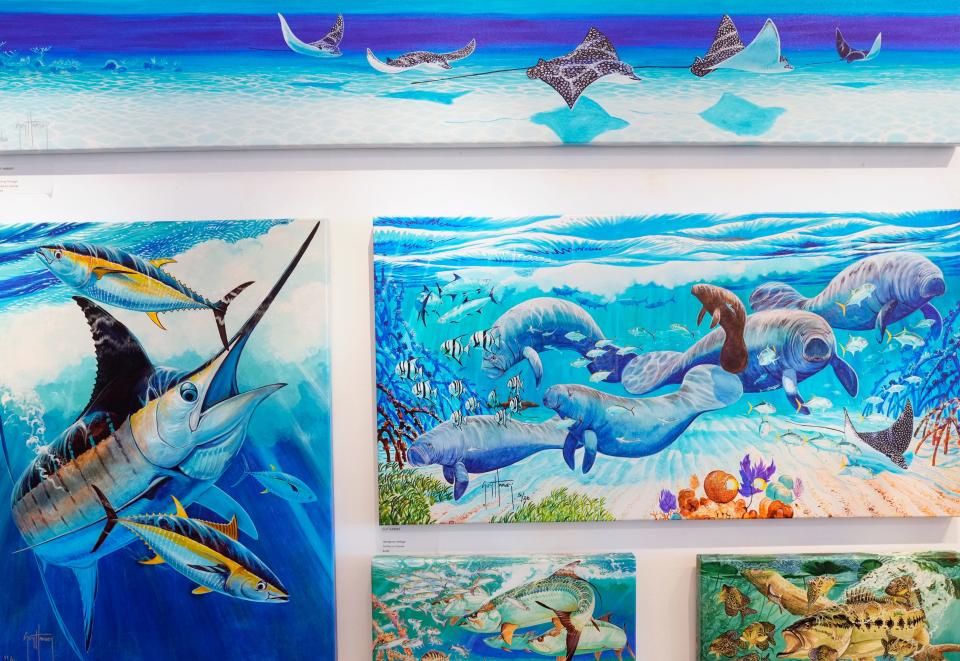 A selection of Guy Harvey's work at Gallery500 at One Daytona in Daytona Beach.