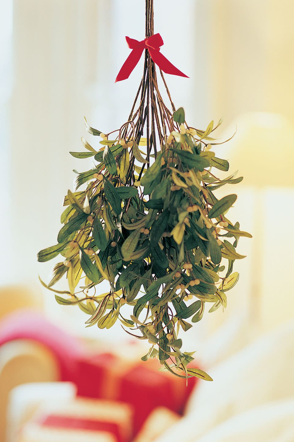 christmas trivia mistletoe tradition
