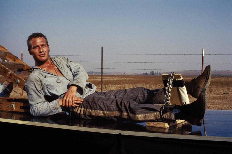 Cool hand Luke