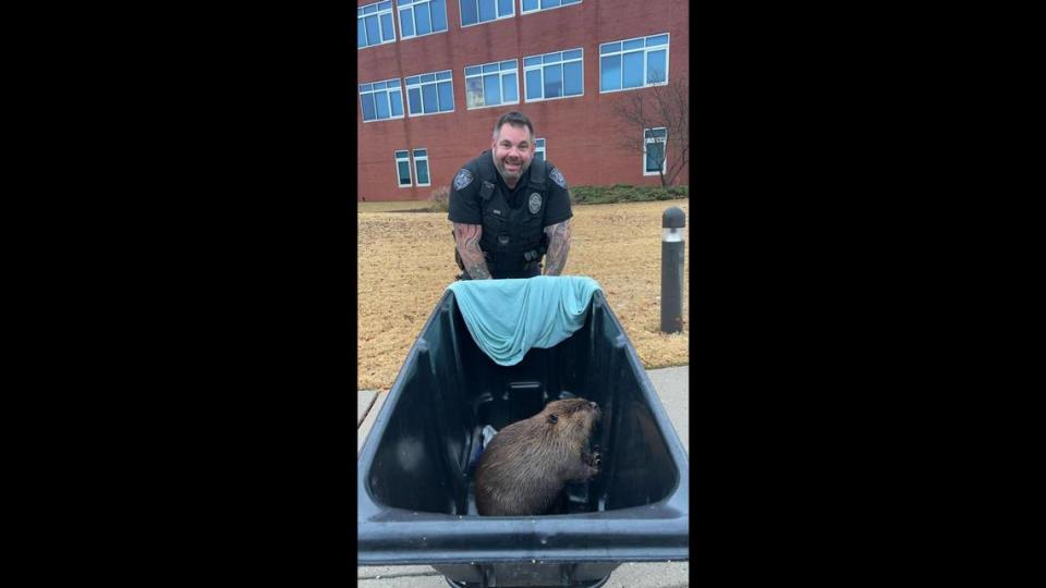 An officer at the Bartlett Police Department captured the loose beaver at the hospital. The animal was safely relocated, police said.