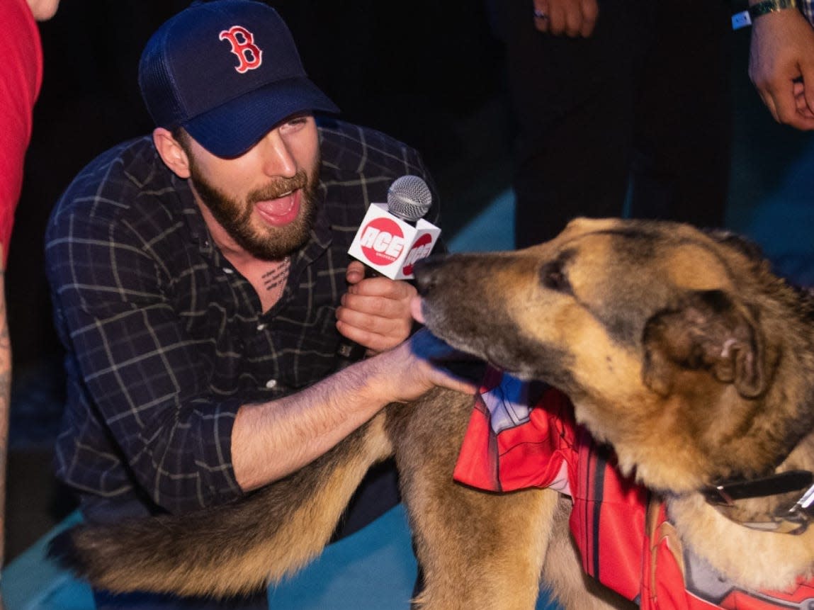 Chris Evans dog