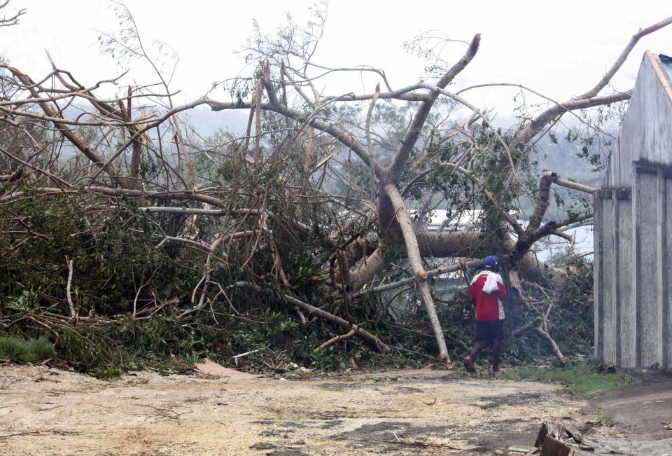 A local resident walks past a cluster of trees uprooted by Cyclone Pam near homes in Port Vila, the capital city of the Pacific island nation of Vanuatu