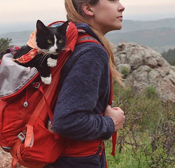 This “Camping With Cats” Instagram account is almost too cute to handle, but you should try anyway