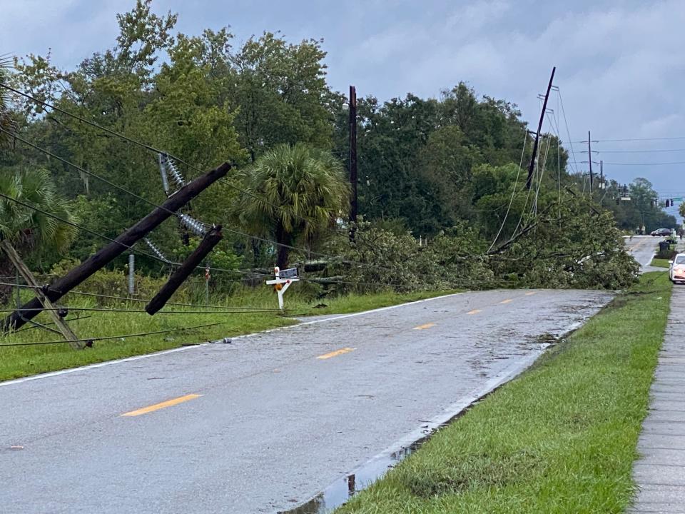 A tree fell on utility lines along West Highland Street in Lakeland, blocking the road and knocking out power to a large portion of the area.