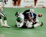 September 9, 1989: Not so thrilling: Argos running back Gill Fenerty is stripped of the ball by Saskatchewan Roughriders defensive tackle James Curry as he attempts to gather in a pass during an error-filled first half at the SkyDome last night. (Photo by Bernard Weil/Toronto Star via Getty Images)