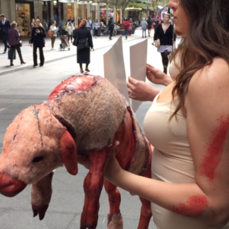 Protestors displayed sheep props displaying wounds obtained by sheep in the wool industry. Source: PETA