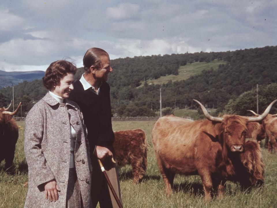 Queen Elizabeth II and Prince Philip in a field with some highland cattle at Balmoral, Scotland, 1972. (Photo by Fox Photos/Hulton Archive/Getty Images)