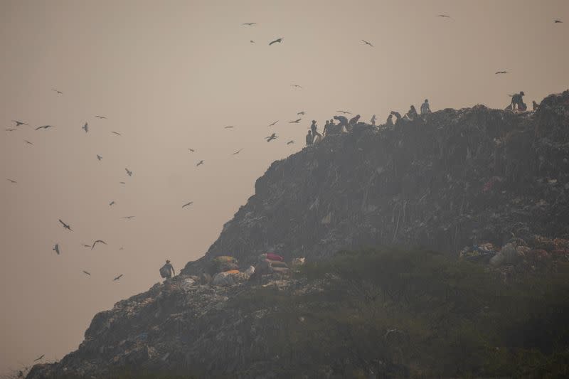 Ragpickers collect recyclables from a dump yard on a smoggy morning in New Delhi