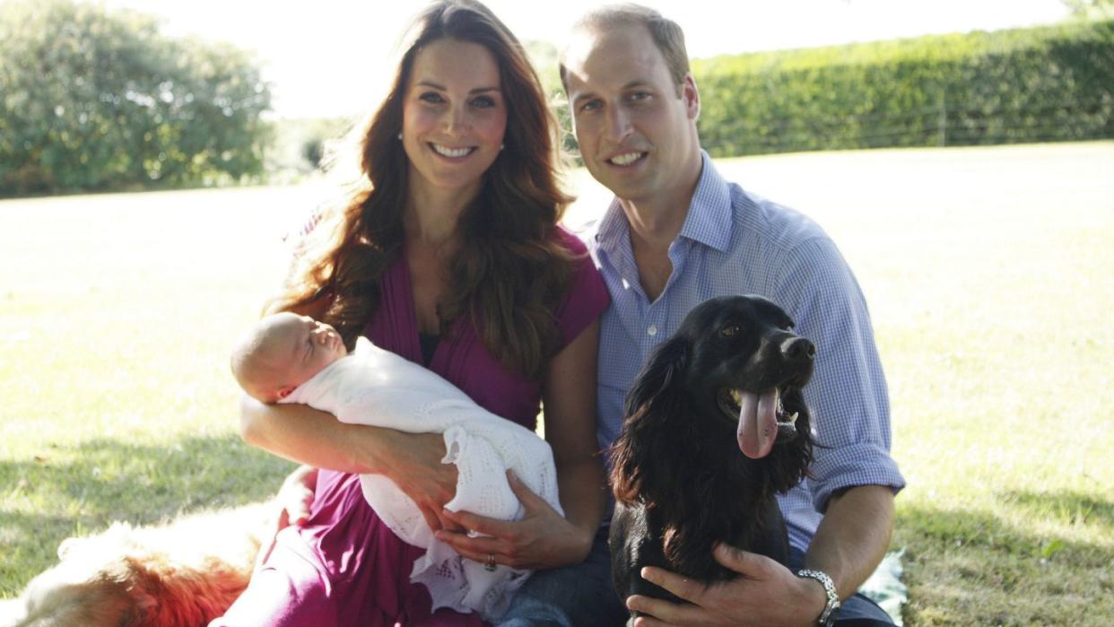 Prinz William und Herzogin Kate 2013 mit ihrem Sohn Prinz George umgeben von Retriever Tilly (l) und Cockerspaniel Lupo.