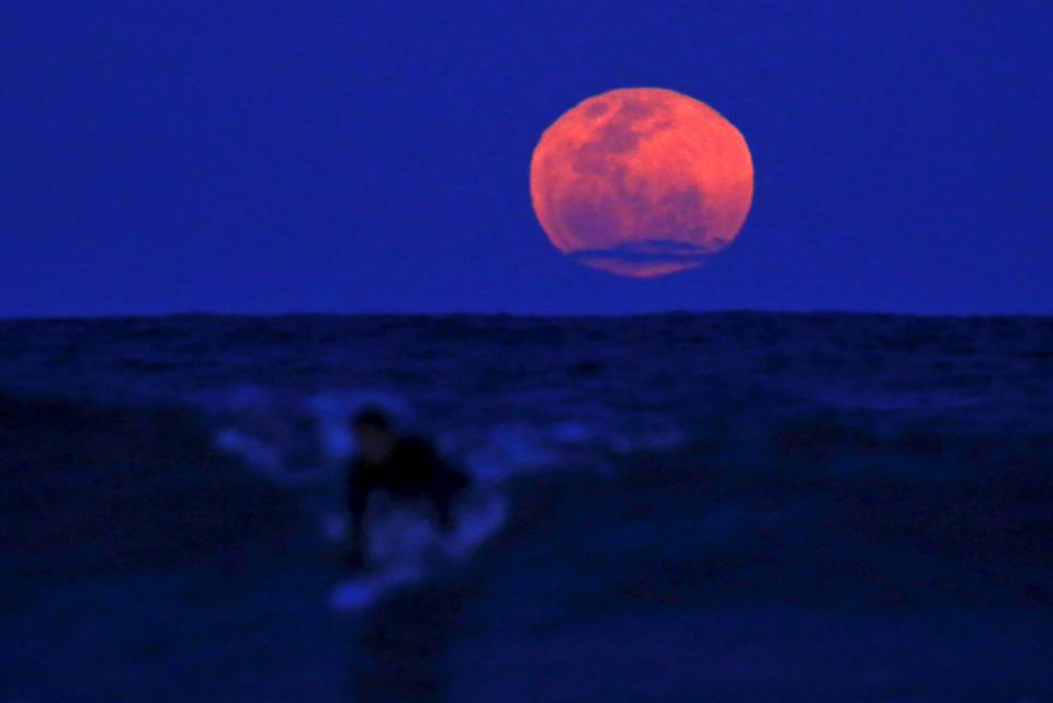 A surfer catches a wave on his board as a super moon rises in the sky off Manly Beach in Sydney, Australia, September 28, 2015. The astronomical event occurs when the moon is closest to the Earth in its orbit, making it appear much larger and brighter than usual. REUTERS/David Gray