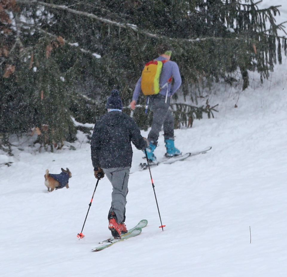 As snow starts to fall Wednesday, Jan. 25, 2023, two cross-country skiers and their dogs make their way up Powder House Hill in South Berwick, Maine.
