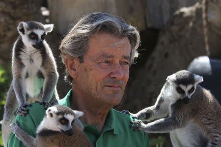 Jean-Jacques Lesueur sits surrounded with Madagascar lemurs in Athens, Greece July 16, 2015. REUTERS/Yiannis Kourtoglou