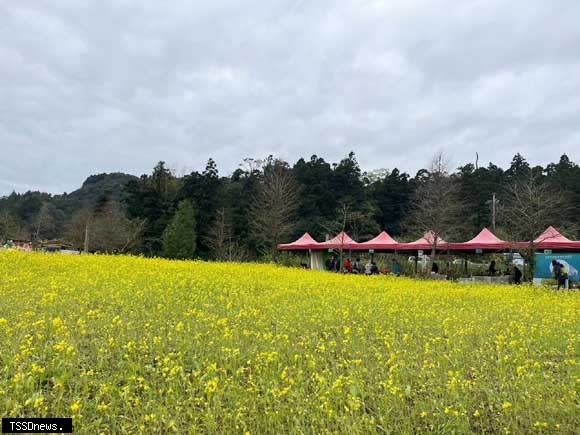 宜蘭縣政府舉辦「雙連埤山里吉市-油菜花節」，三月九日至十日在宜蘭縣雙連埤田美農場莊園雙連埤土地公廟對面，策畫市集活動。體驗油菜花滿開的山村特有環境的生活氣圍。邀請大家共同參與！（圖：宜縣府提供）