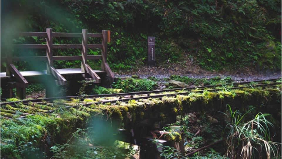 中秋連假玩法推薦-宜蘭太平山見晴古道。（圖／Tripbaa趣吧！亞洲自由行專家）