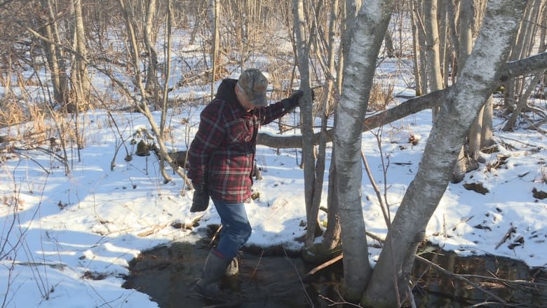 Walking trail built illegally on proposed Shediac campsite to be inspected