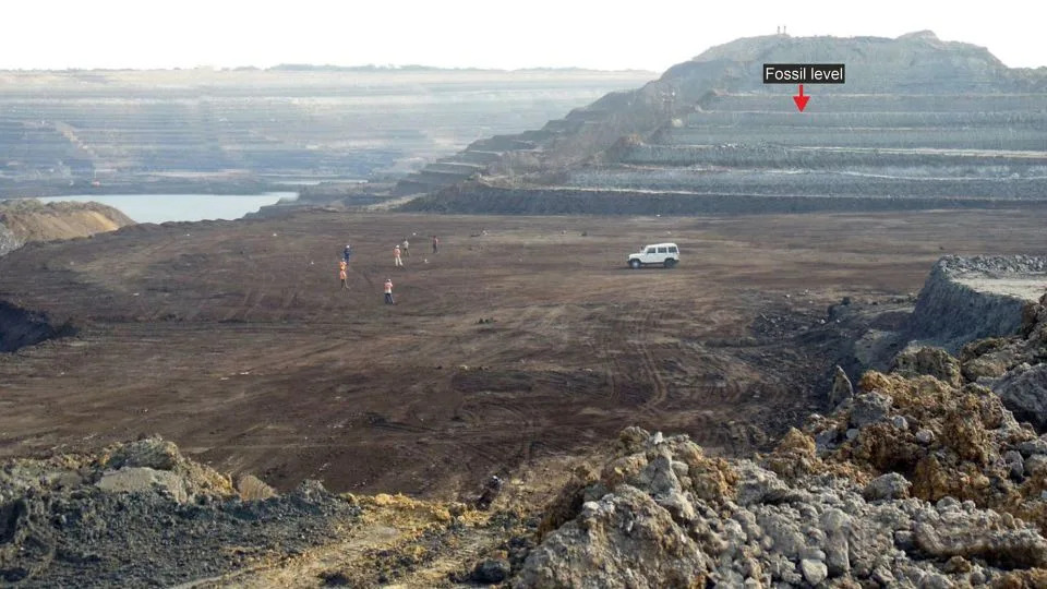 A panoramic view of Panandhro Lignite Mine, in western India's Gujarat state, shows the fossiliferous level (red arrow) where the giant snake Vasuki indicus was found. - S. Bajpai/D. Datta/P. Verma