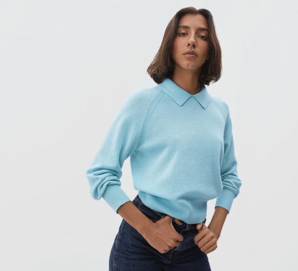 Everlane The Cashmere Collared Sweater