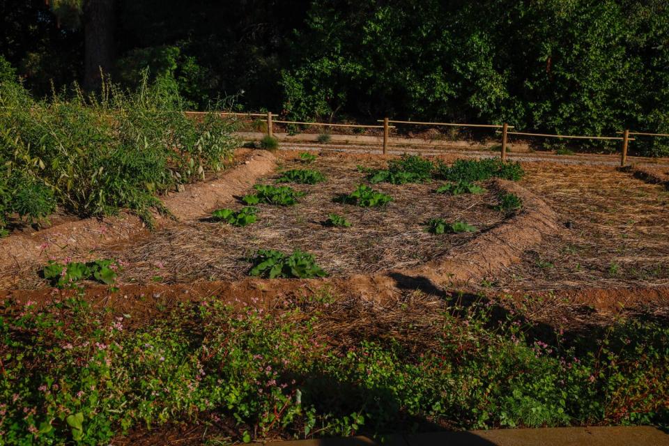 Small terraced plots of farmland grow rice, sesame and other traditional Japanese crops outside the shōya house.