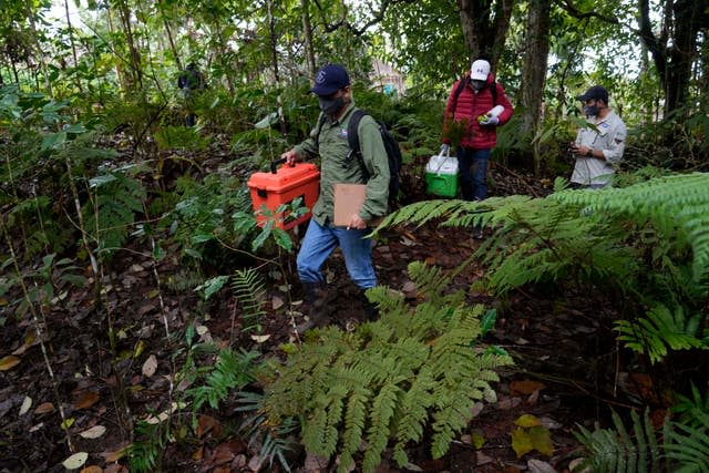 Scientists walk with locals as they collect plant samples