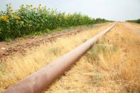 The Iraqi- Turkish pipeline is seen in Zakho district of the Dohuk Governorate of the Iraqi Kurdistan province, Iraq, August 28, 2016. REUTERS/Ari Jalal