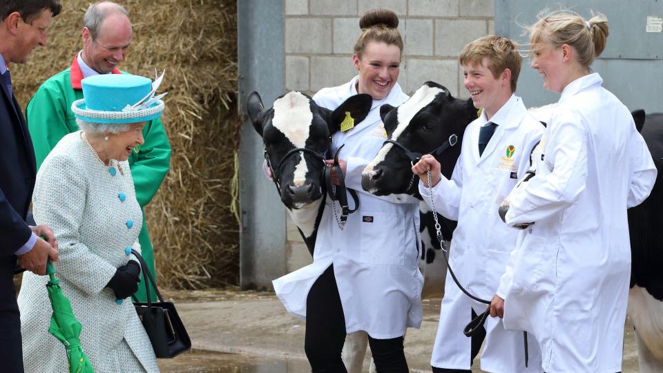 The Queen smiling at sudents and two dairy cows