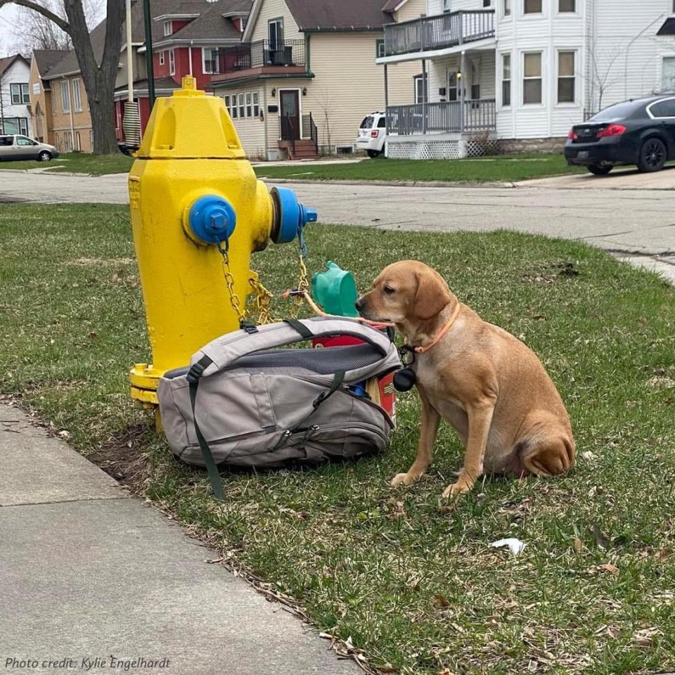 Baby Girl was found tied to a fire hydrant on May 1, 2022 in Green Bay, Wis.