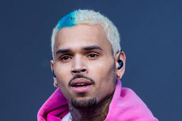 chris-brown-dog-bite-lawsuit - Credit: Joseph Okpako/WireImage