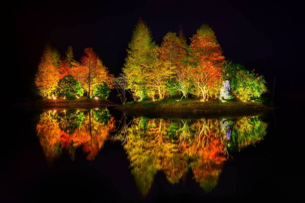 明池湖夜景 (圖／力麗馬告生態園區)