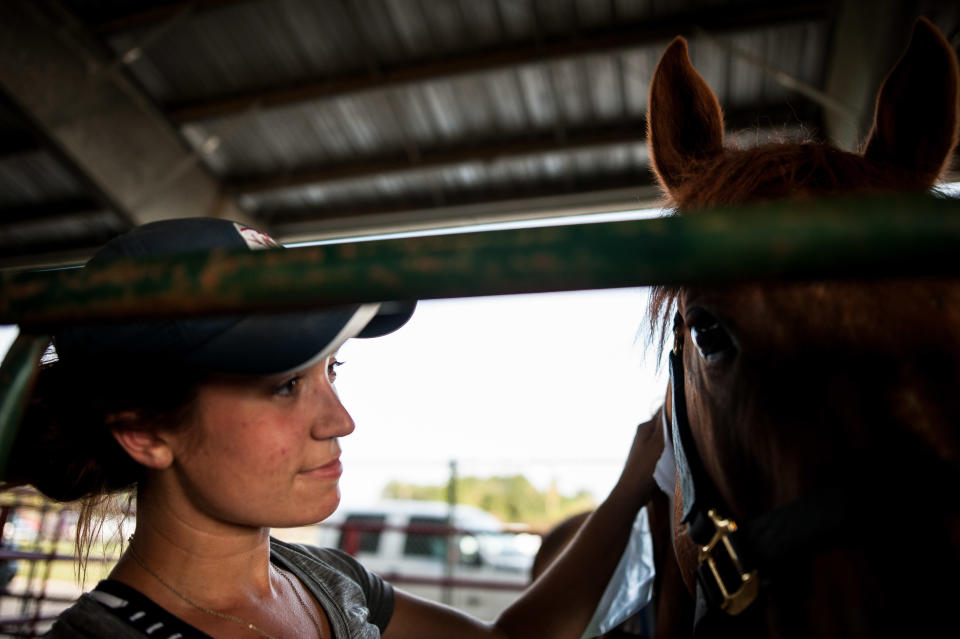 Maggie Olthaus, a vet tech from Columbus, Ohio, pets a horse at Ford Park. (Photo: Joseph Rushmore for HuffPost)