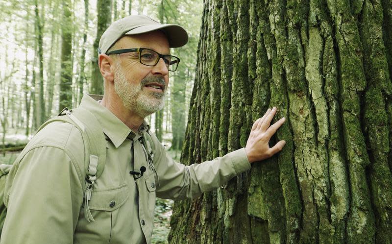 森林暢銷書作者彼得渥雷本為了保育樹木到處奔走。（海鵬提供）