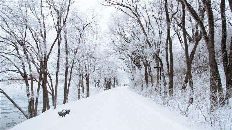 為了融雪挖掘鹽田，卻意外挖到1顆心臟。（示意圖／翻攝自unsplash）