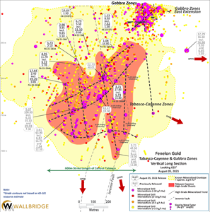 Fenelon Gold, Tabasco-Cayenne-Gabbro Zones Long Section