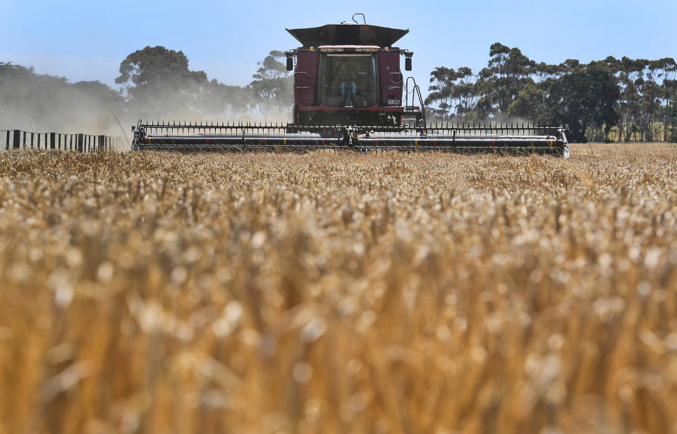 Image: A paddock of barley being harvested on a farm near Inverleigh, west of Melbourne, Australia (WILLIAM WEST / AFP via Getty Images)