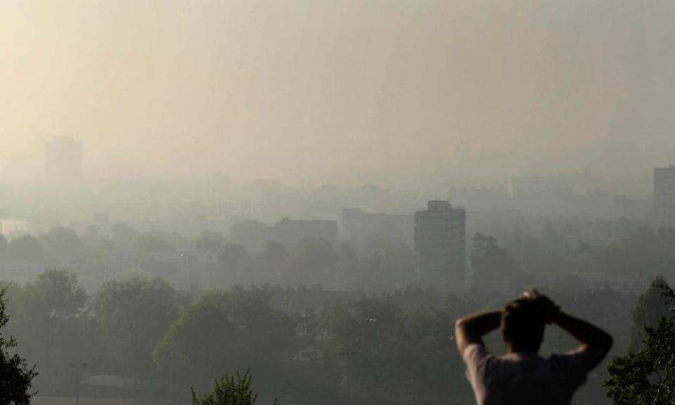 <span>Photograph: Matt Dunham/AP</span>