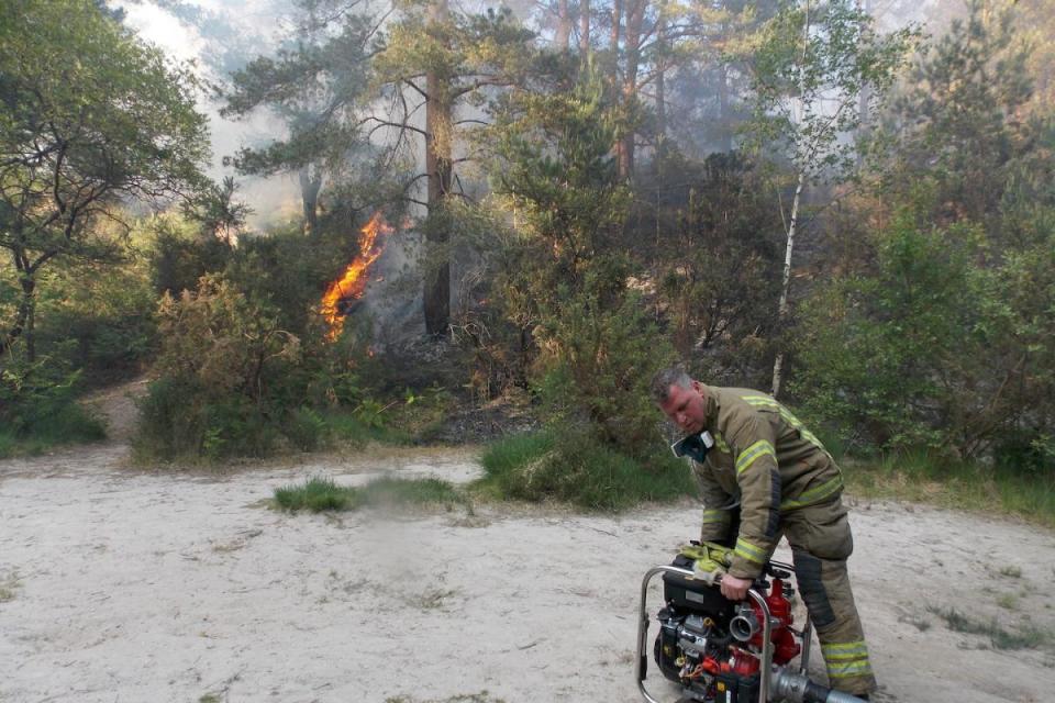 The heath fire in Verwood on Wednesday, May 31. <i>(Image: Simon Rowley)</i>