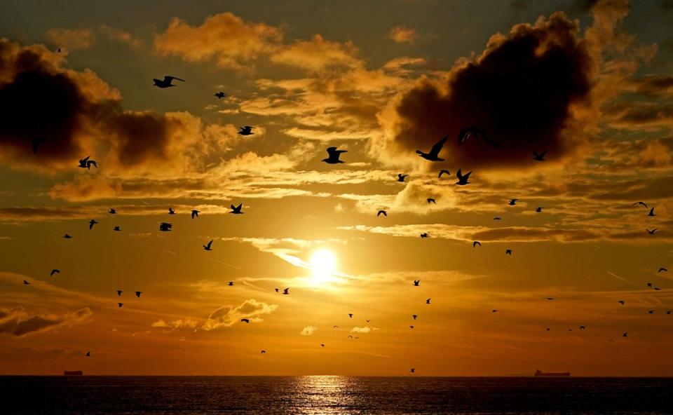 21 September 2022: A flock of birds in the sky as the sun rises over Dungeness in Kent (PA)