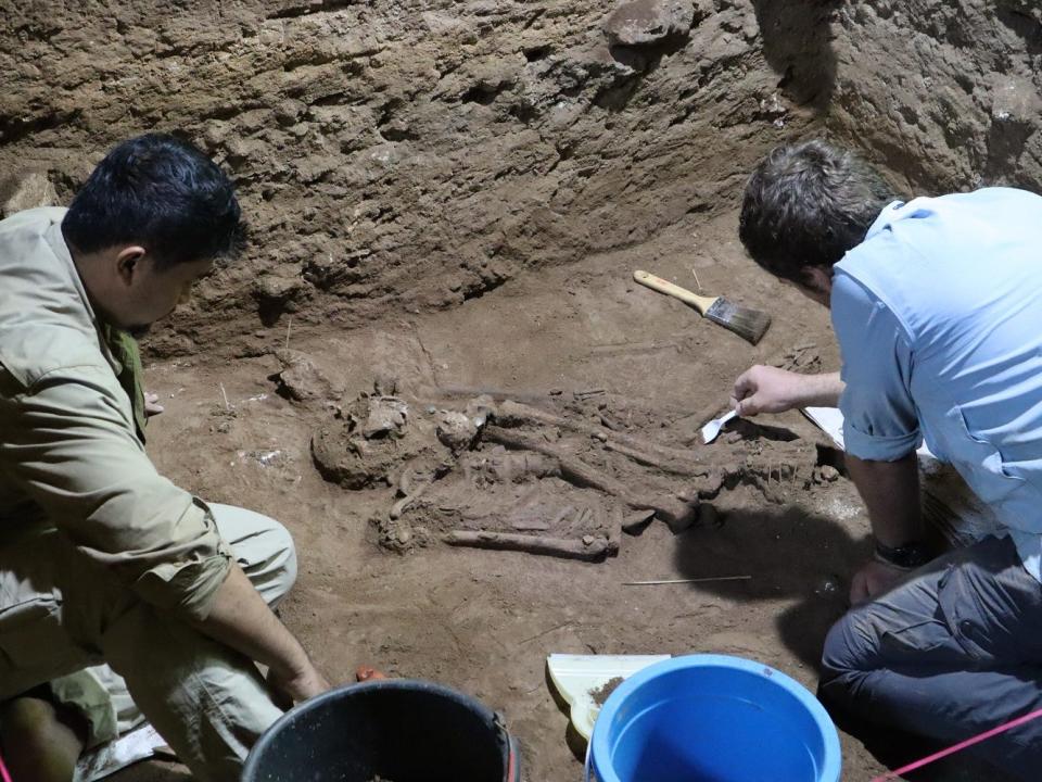 The skeleton being discovered