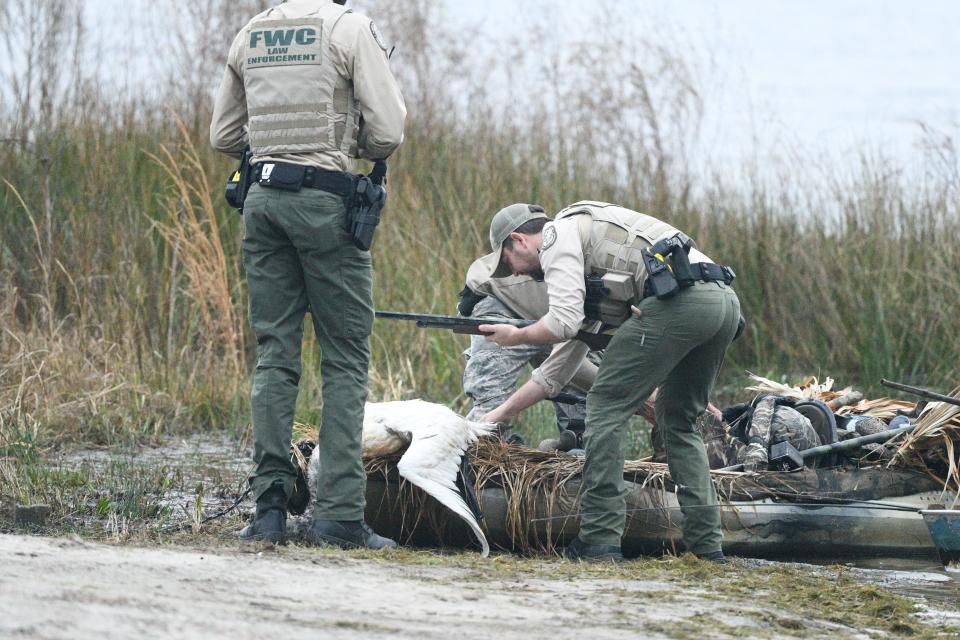 The Florida Fish and Wildlife Conservation Commission is investigating a hunter who shot and killed a swan, Jan. 27, 2024.