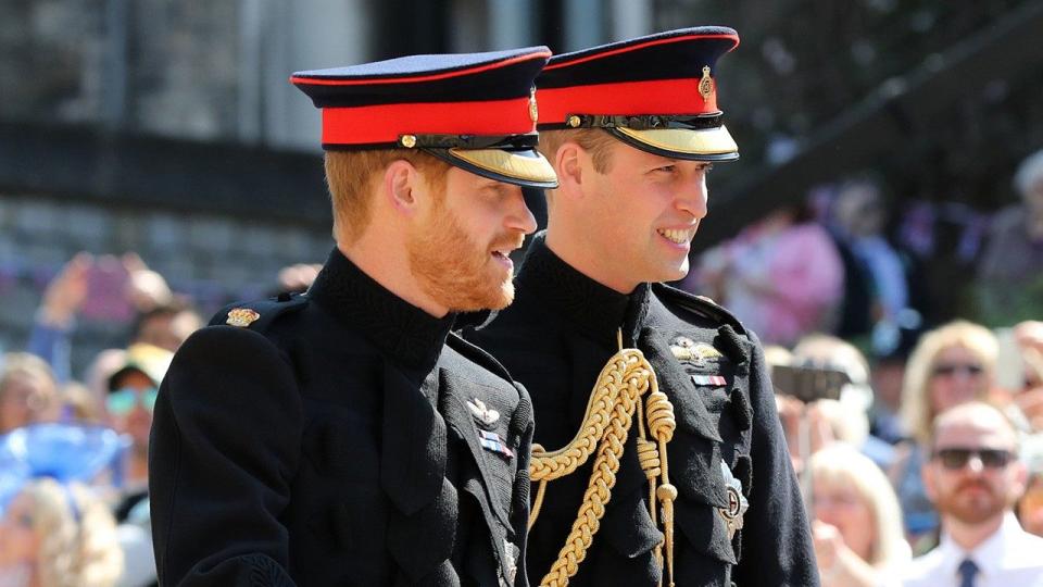 It appears Prince Harry and Prince William are not as close as they once were.