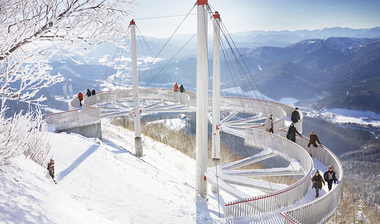 【冬日夢幻絕景】零度以下的絕美霧冰！北海道千米高平台觀賞雪景